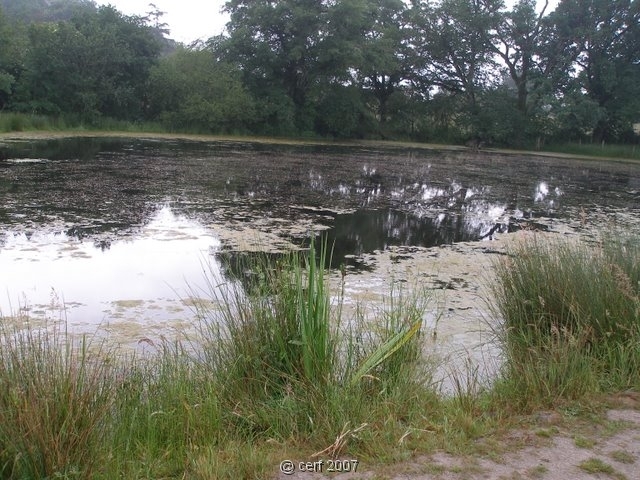 2007 05 Séjour en Brenne 021
